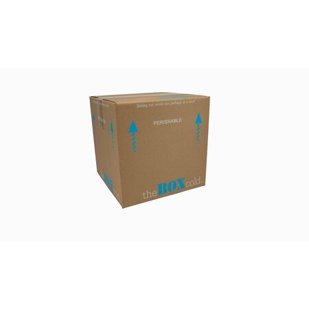 Epe Usa Insulated Cold Shipping Box with Foam Cooler 6inx 6in x 6in Inside Dimensions BLUECOOLER-6"